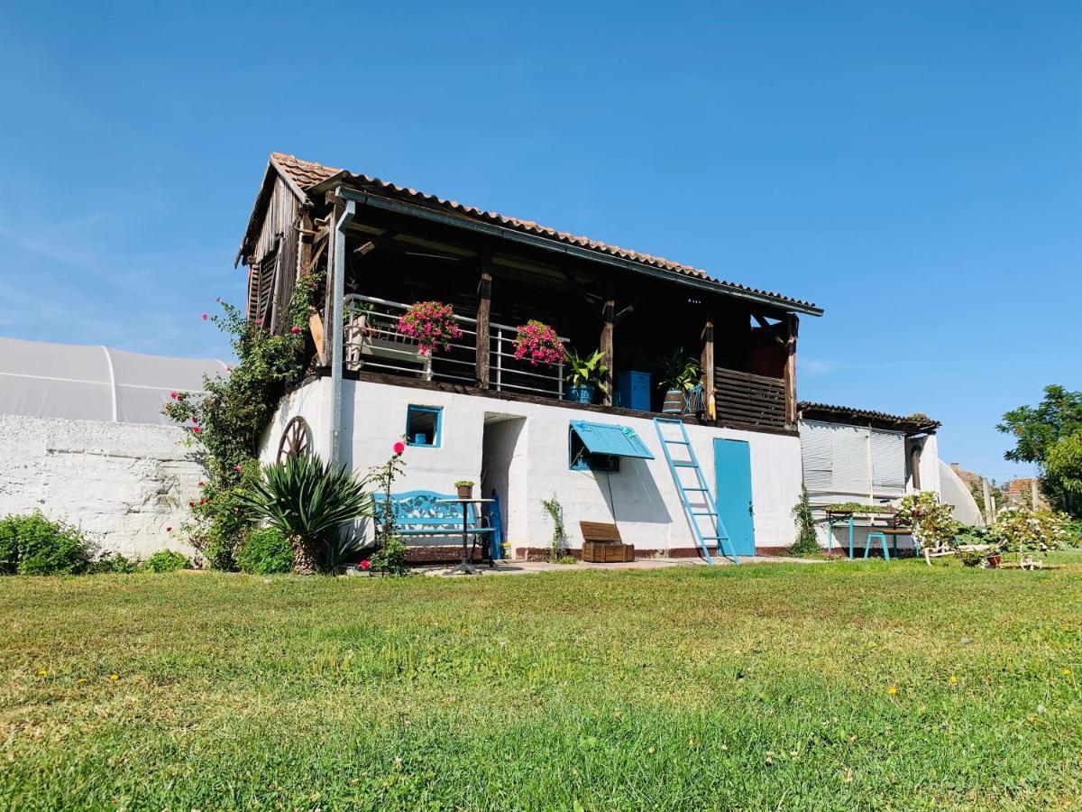 Lux House Olga Apartment Ruma Bagian luar foto
