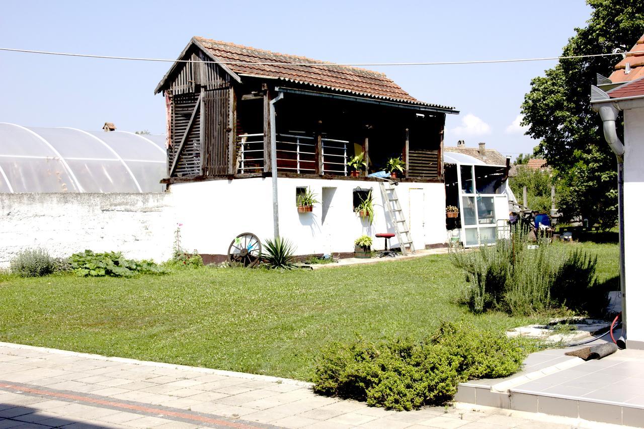 Lux House Olga Apartment Ruma Bagian luar foto
